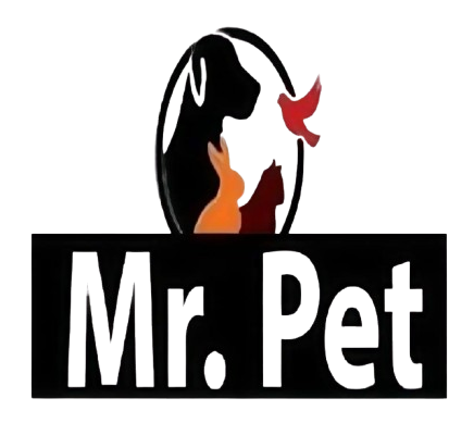 mr.prt removebg preview